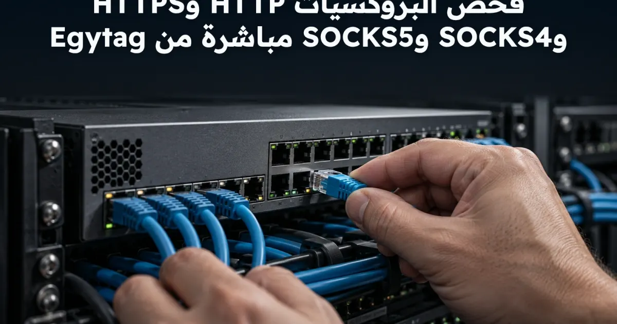 فحص البروكسيات HTTP وHTTPS وSOCKS4 وSOCKS5 مباشرة من Egytag
